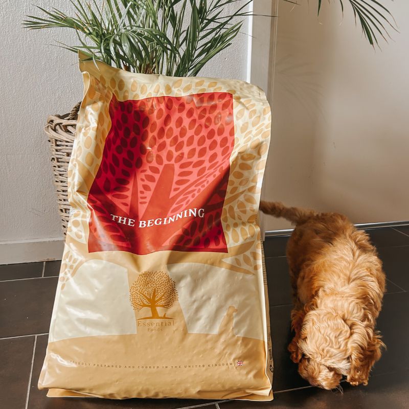 essential hundefoder