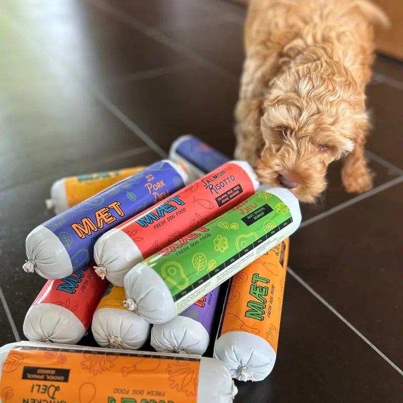 frisk hundefoder
