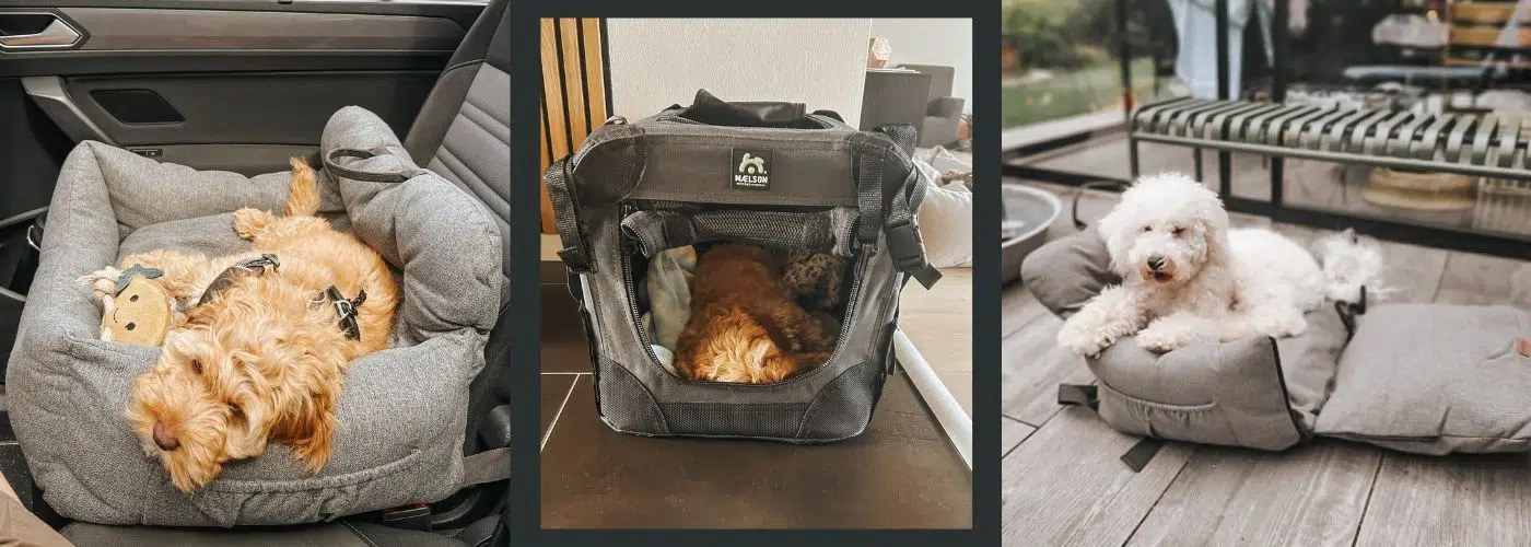 bilsæde til hund