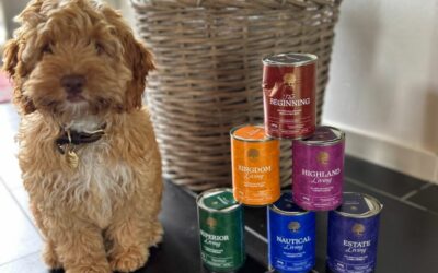 BEDSTE HUNDEFODER