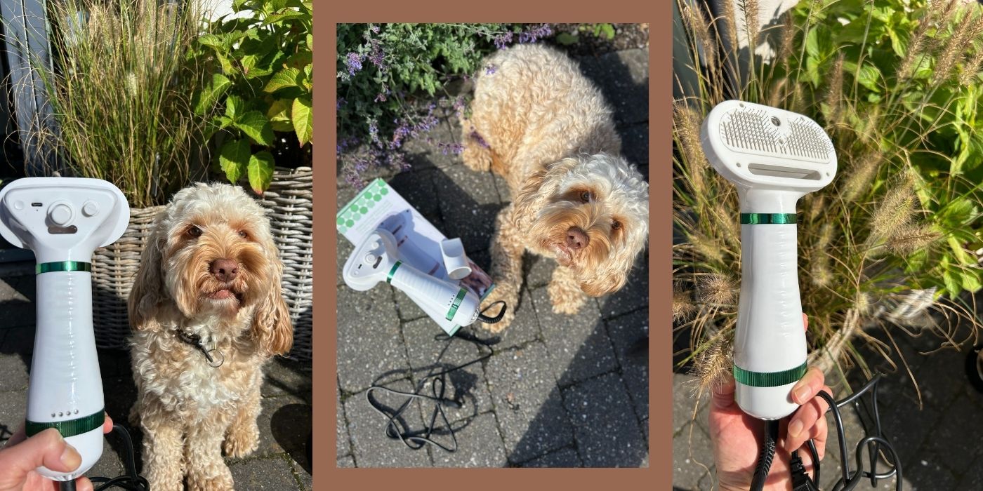 bedste hårtørrer til hunde