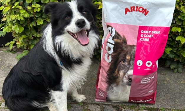BEDSTE HUNDEFODER